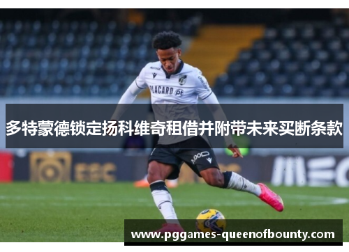 多特蒙德锁定扬科维奇租借并附带未来买断条款