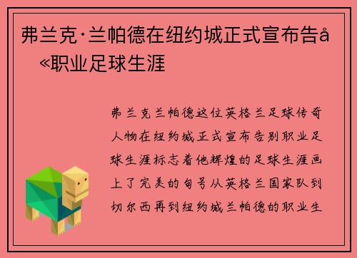 弗兰克·兰帕德在纽约城正式宣布告别职业足球生涯