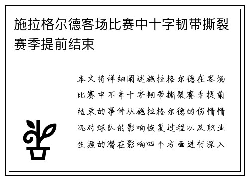 施拉格尔德客场比赛中十字韧带撕裂赛季提前结束